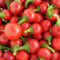 Iranian Cherry