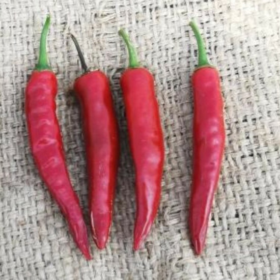 Nanas Indian Red