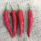 Nanas Indian Red